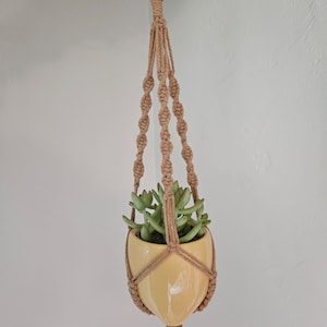 May include: A macrame plant hanger with a yellow ceramic pot and a small succulent plant. The hanger is made of natural brown twine and has a wooden ring at the top.