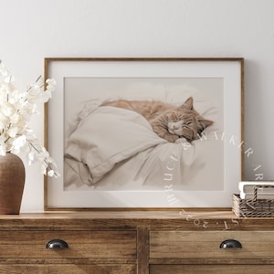 Ragdoll Cat Drawing | Ragdoll Cat Sleeping | Ragdoll Cat Art | Cat Print | Animal Art Print | Cat Art | Cat Prints Wall Art | Wall Decor