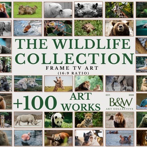 May include: A collage of over 100 wildlife photos, featuring animals like a red panda, a giraffe, a lion, a tiger, a bear, and a panda. The text "The Wildlife Collection" is in large green letters, with the tagline "Frame TV Art (16:9 Ratio)" below. The text "+100 Art Works" is in green letters, with the logo "B&W Art Collective" below.