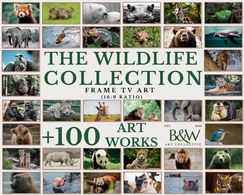 May include: A collage of over 100 wildlife photos, featuring animals like a red panda, a giraffe, a lion, a tiger, a bear, and a panda. The text "The Wildlife Collection" is in large green letters, with the tagline "Frame TV Art (16:9 Ratio)" below. The text "+100 Art Works" is in green letters, with the logo "B&W Art Collective" below.
