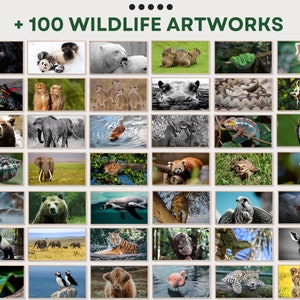 May include: A collage of 48 images featuring various wildlife animals, including a panda, a tiger, a cheetah, a red panda, a bear, an elephant, a giraffe, a monkey, a bird, a fish, a reptile, and a frog. The images are arranged in a grid pattern and are all in a natural setting.