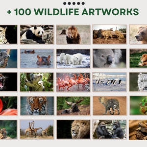 May include: A collage of 25 images featuring various wild animals, including a cheetah, panda, lion, bear, koala, hippopotamus, polar bear, snow leopard, tiger, flamingo, giraffe, gorilla, and chameleon. The images are arranged in a grid pattern and are all set against a white background. The text "100 WILDLIFE ARTWORKS" is displayed at the top of the collage.