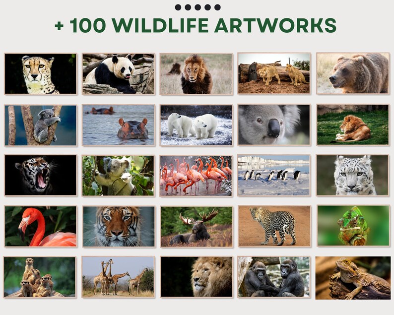 May include: A collage of 25 images featuring various wild animals, including a cheetah, panda, lion, bear, koala, hippopotamus, polar bear, snow leopard, tiger, flamingo, giraffe, gorilla, and chameleon. The images are arranged in a grid pattern and are all set against a white background. The text "100 WILDLIFE ARTWORKS" is displayed at the top of the collage.