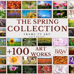 May include: A collage of images showcasing the "The Spring Collection" of over 100 frame TV art pieces in a 16:9 ratio, created by the B&W Art Collective, established in 2022.