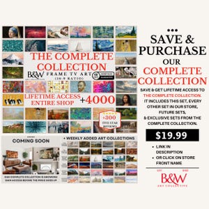 May include: A colorful collage of artwork with the text "The Complete Collection" and "B&W Art Collective". The image also includes the text "Lifetime Access +4000 Entire Shop" and "Coming Soon".