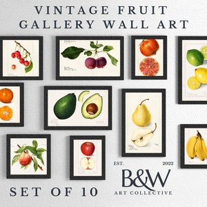 May include: Set of 10 vintage fruit illustrations in black frames. The illustrations include a pear, avocado, orange, cherry, apple, lime, lemon, pomegranate, and banana.