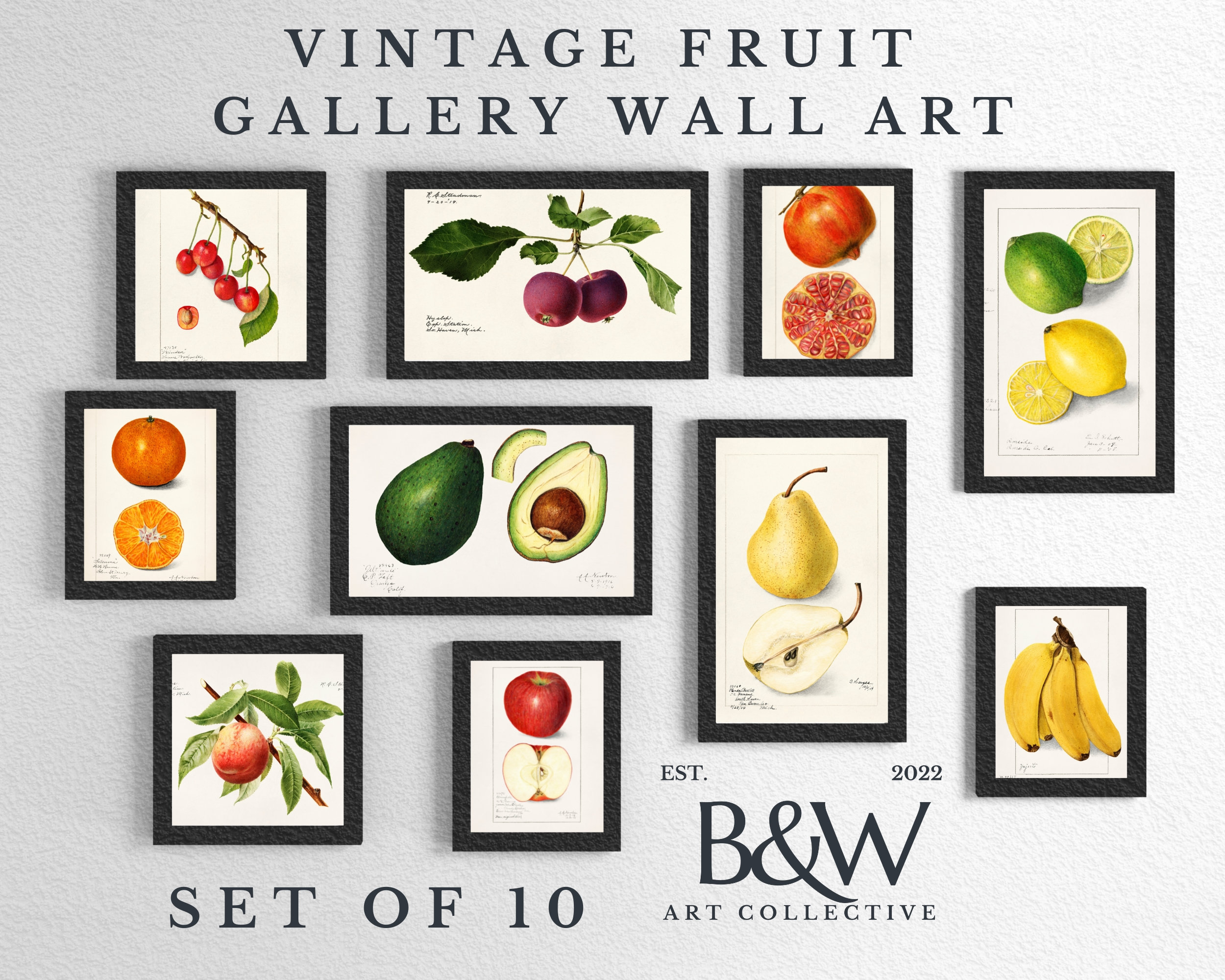kitchen gallery wall art set of 6, vintage fruit... Vintage Kitchen Fruit Gallery Wall Art SET | Gallery Art Print Set of ...