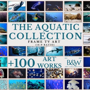Frame TV Art Set of +100 | The Aquatic Collection | Frame tv art Aquatic| Frame tv water art | Frame Tv Art | DIGITAL DOWNLOAD TVS56