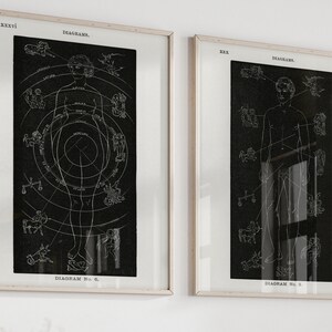 May include: Two framed black and white illustrations of anatomical diagrams with zodiac symbols. The diagrams are labeled "DIAGRAM No. 6" and "DIAGRAM No. 3".