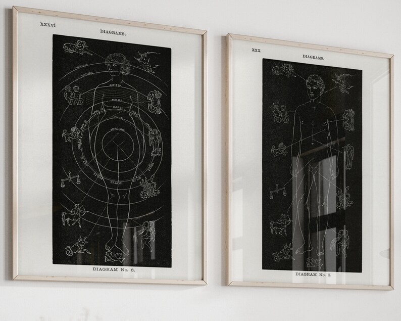 May include: Two framed black and white illustrations of anatomical diagrams with zodiac symbols. The diagrams are labeled "DIAGRAM No. 6" and "DIAGRAM No. 3".