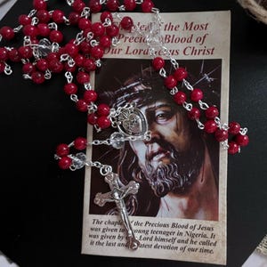 Rosary Chaplet Of The Most Precious Blood of Jesus w Instruction Prayer Card Catholic Prayer Beads