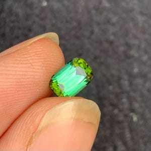 1.55 CT 天然バイカラートルマリン