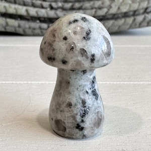 Kiwi Jasper Sesame Mushroom Carving