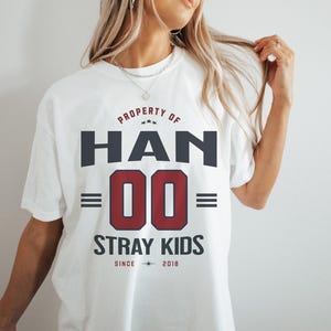 Stray Kids Han Jersey, Personalized Stray Kids Shirt, DominATE Tour Themed Stray Kids Jersey, Stray Kids Merch, Retro Kpop Concert Clothing.