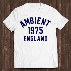 Ambient Music 1975 Brian Eno The Orb Synthesizer Funny Gamer Meme Music Gift Tee T Shirt C1591