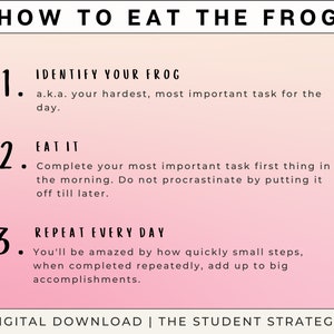 Eat The Frog Daily Task Priority Planner Hourly Time Blocking Schedule Stop Procrastinating A4 A5 US Letter Digital Download image 5