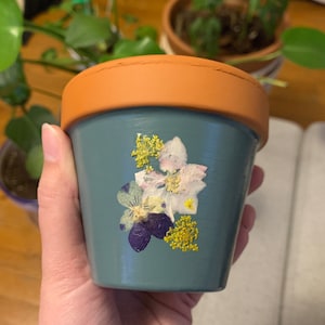 May include: A small terracotta pot painted a light blue colour with pressed flowers and greenery. The flowers are white, purple, and yellow.