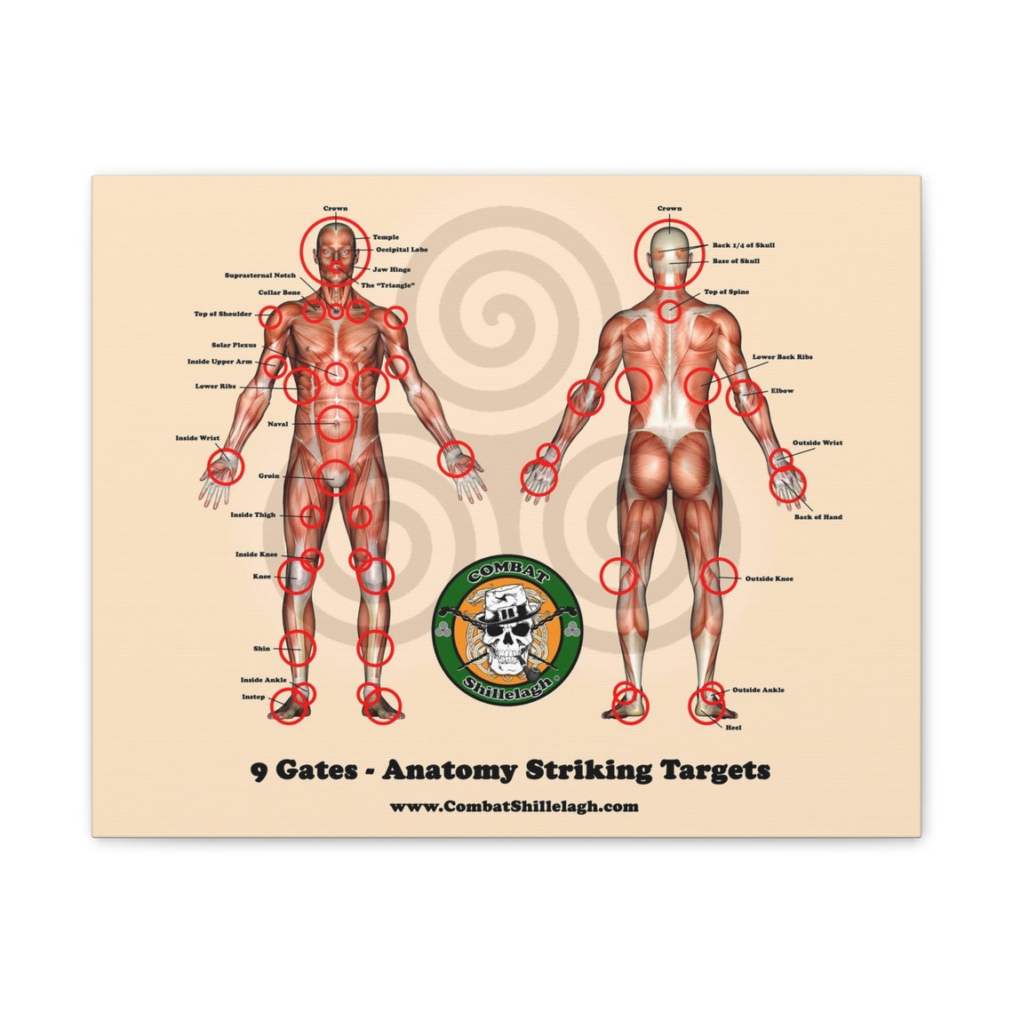 Anatomy Striking Targets Canvas Print - Full Color Print Primary ...