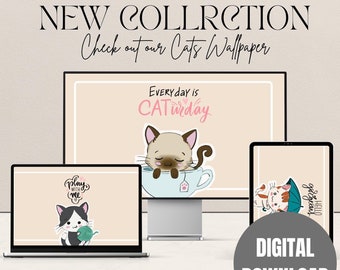 Bureaubladachtergrond; Leuk kattenbehang; Mac Windows-achtergrond; Minimalistisch behang; Leuke bureaubladachtergrond; Esthetische bureaubladachtergrond