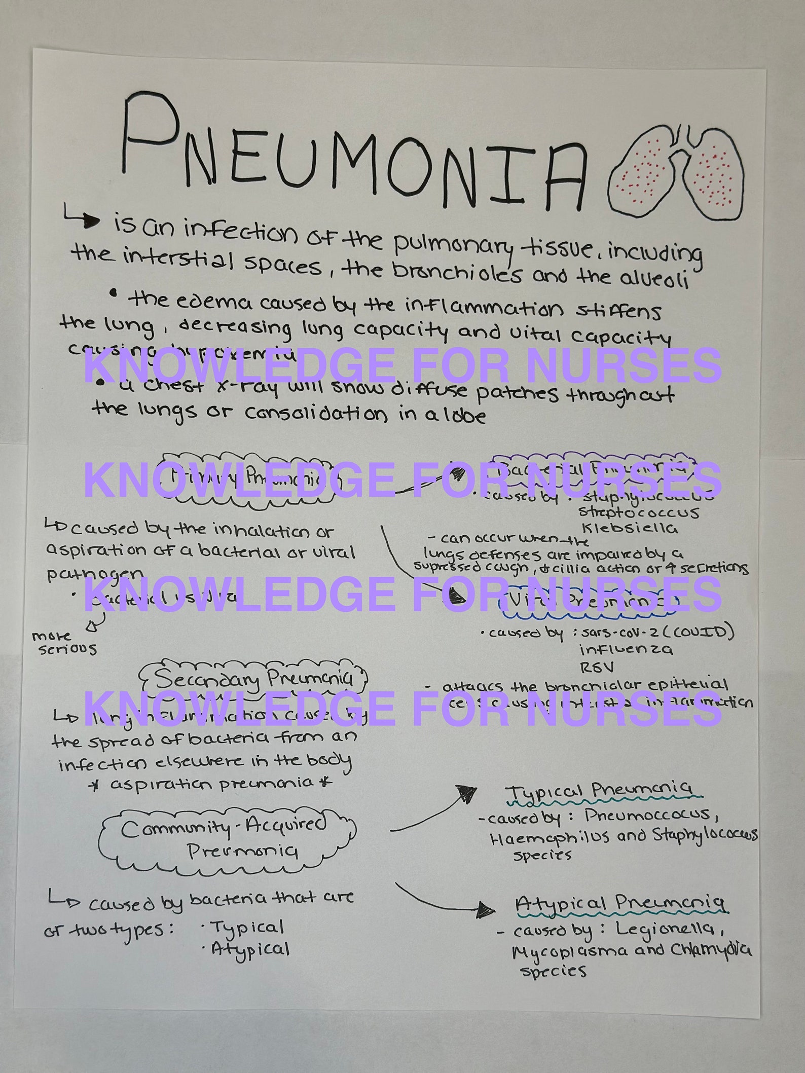 Pneumonia Vs Empyema Quick Clinical Study Guide for Nurses and Nursing ...
