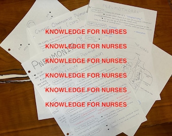 The Respiratory Bundle, for nurses and nursing students, Digital Copy