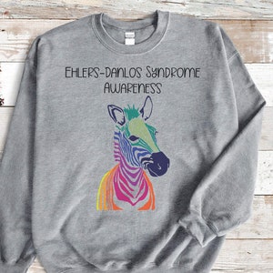 May include: Gray sweatshirt with the text "Ehlers-Danlos Syndrome Awareness" and a rainbow zebra graphic.