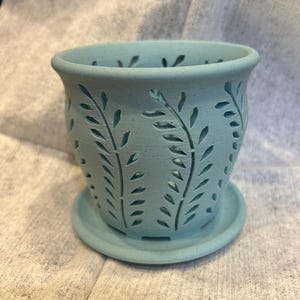 May include: A light blue ceramic planter with a leafy design. The planter has drainage holes and a matching saucer.