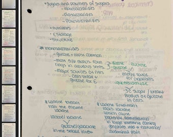 Biologie Hinweise Kohlehydrate und Zellstoffwechsel