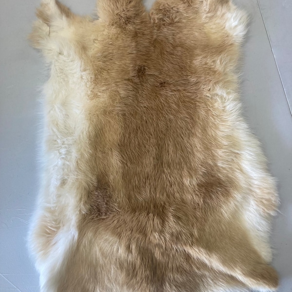 Light Brown Fawn Rabbit Pelt- real fur bunny pelt hide