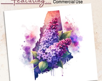 New Hampshire lila bloem PNG: aquarel staat silhouet (300 dpi digitale download