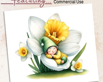December Narcissus Baby Gnome PNG Clipart | Birth Month Flower Sublimation | 300 DPI Digital Download