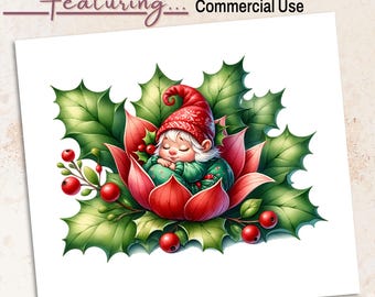 December Holly Baby Gnome PNG Clipart | Birth Month Flower Sublimation | 300 DPI Digital Download