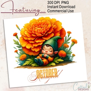 Birth Month Flowers Gnome Set PNG Clipart | 24 Transparent PNGs | Digital Download | 300 DPI | Nursery Art