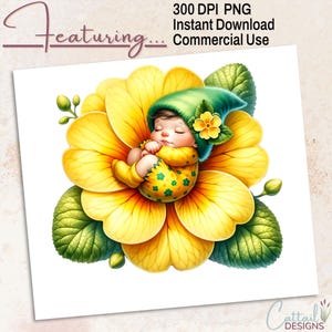February Primrose Baby Gnome PNG Clipart | Birth Month Flower Sublimation | 300 DPI Digital Download