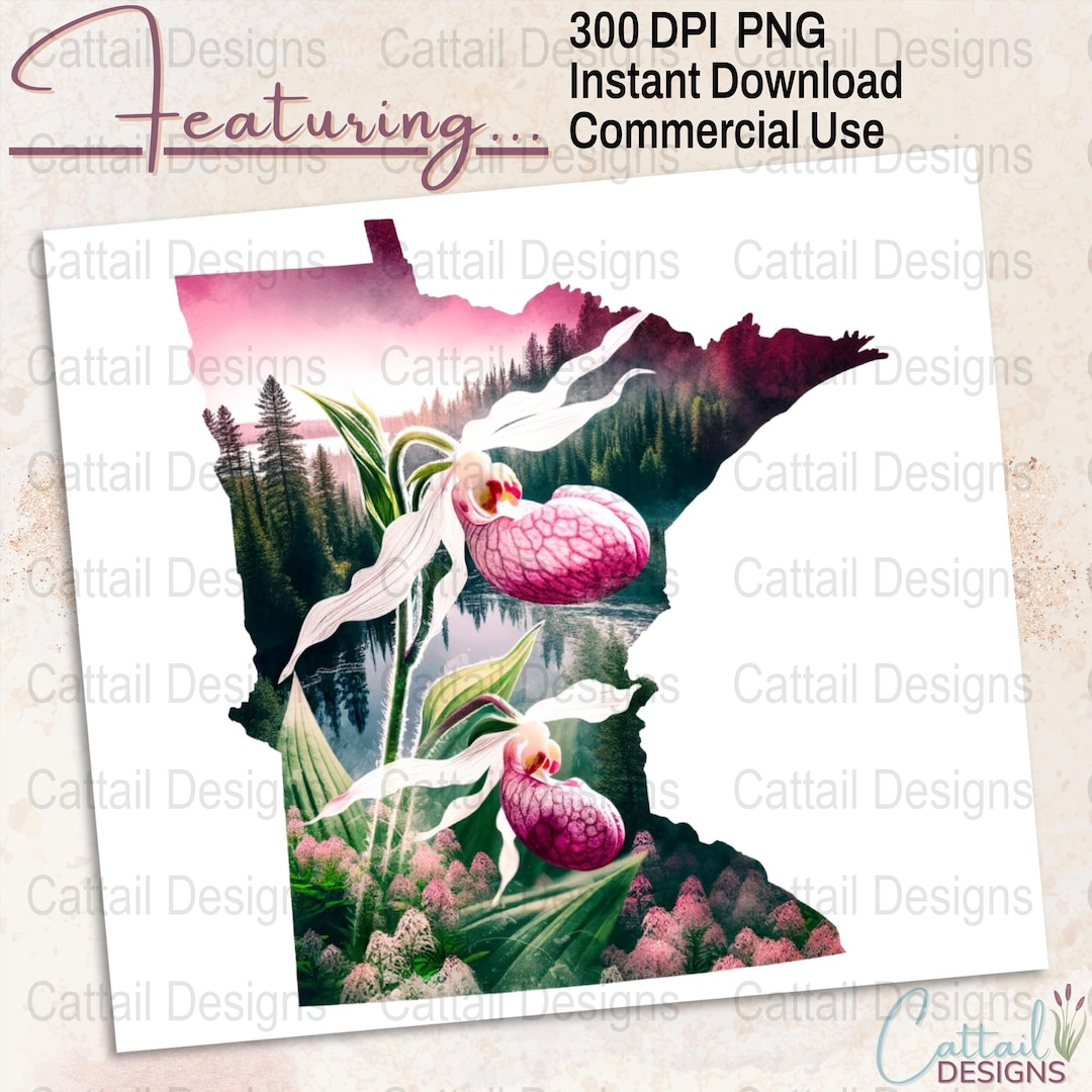 Minnesota Lady Slipper PNG: State Flower Clipart, Sublimation Design ...