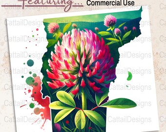 Aquarel clipart Vermont rode klaver: staatsbloem png (digitale download)