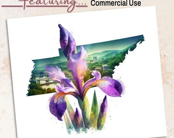 Tennessee Iris PNG: aquarel staat bloem clipart (commercieel gebruik, 300 DPI transparant bestand)