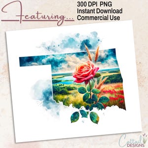 Oklahoma Rose State Flower PNG: Akvarell blommig clipart (300 DPI transparent fil)