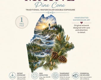Maine State Flower Watercolor Clipart, White Pine Cone Design (Digital Download)