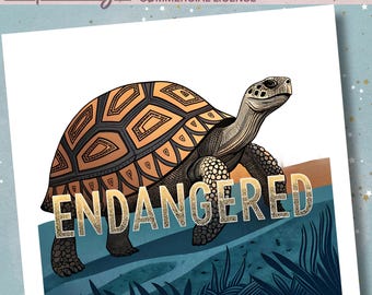 Giant Tortoise PNG, Wildlife Clipart, Endangered Animal Art Commercial License