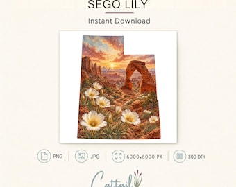 Sego Lily Watercolor PNG, Utah State Flower Clipart, Sublimation Design (Digital Download)