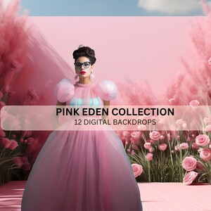 12 Digital Backdrops, Pink Roses, Maternity Backdrop Overlays, Photography Digital Background Overlays, Photoshop Textures Overlays