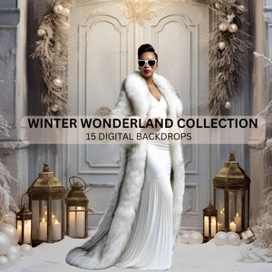 Winter Wonderland Photography Backdrops: Rustic Doors, Snow, Ornaments (Digital Download)
