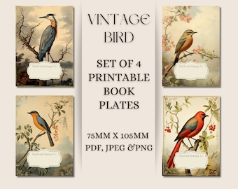 Placas de livro de pássaros vintage: conjunto de 4 designs para impressão (download digital)