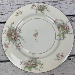 Theodore Haviland Apple Blossom Pattern Dinner Plate Floral China Made in USA