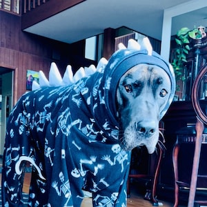 Pyjama pour grand chien clearance