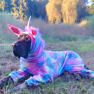 Great dane unicorn costume new arrivals