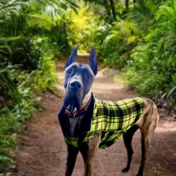 Great Dane Coat Etsy