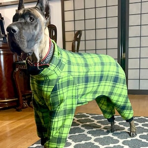 Clothes for my great dane outlet