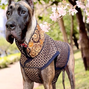 Great dane jackets online
